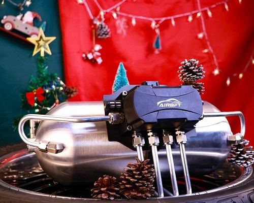 Christmas theme: airbft bagged kit picture