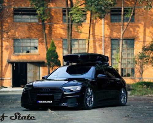 Audi A6 allroad bagriders Walking close to the ground