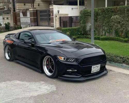 “Unleashing the Power of the Ford Mustang: Bag Riders’ Transformation”